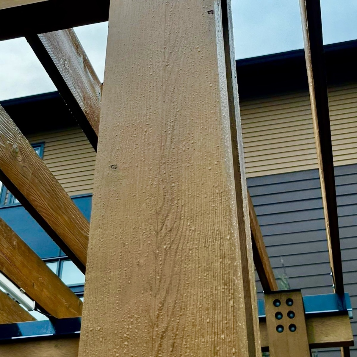 Cedar Wood Trellis Coated With A Moisture-Repelling Clear Coat Performing Excellently